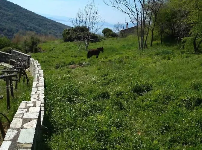 Villa Stefanos Katochori